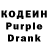 Codein Purple Drank Ms Pro