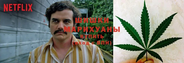 гидра Белокуриха