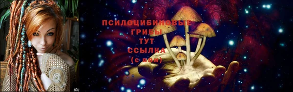 СК Богданович