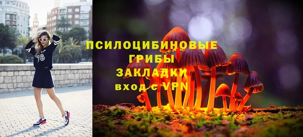 PSILOCYBIN Богородицк