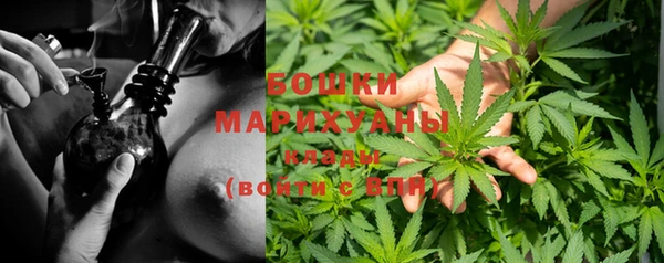 хмурый Богородск