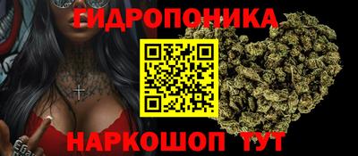шишки Пыть-Ях