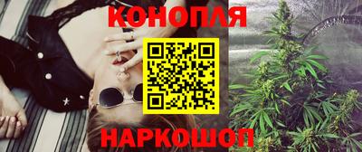 прущие грибы Пушкино